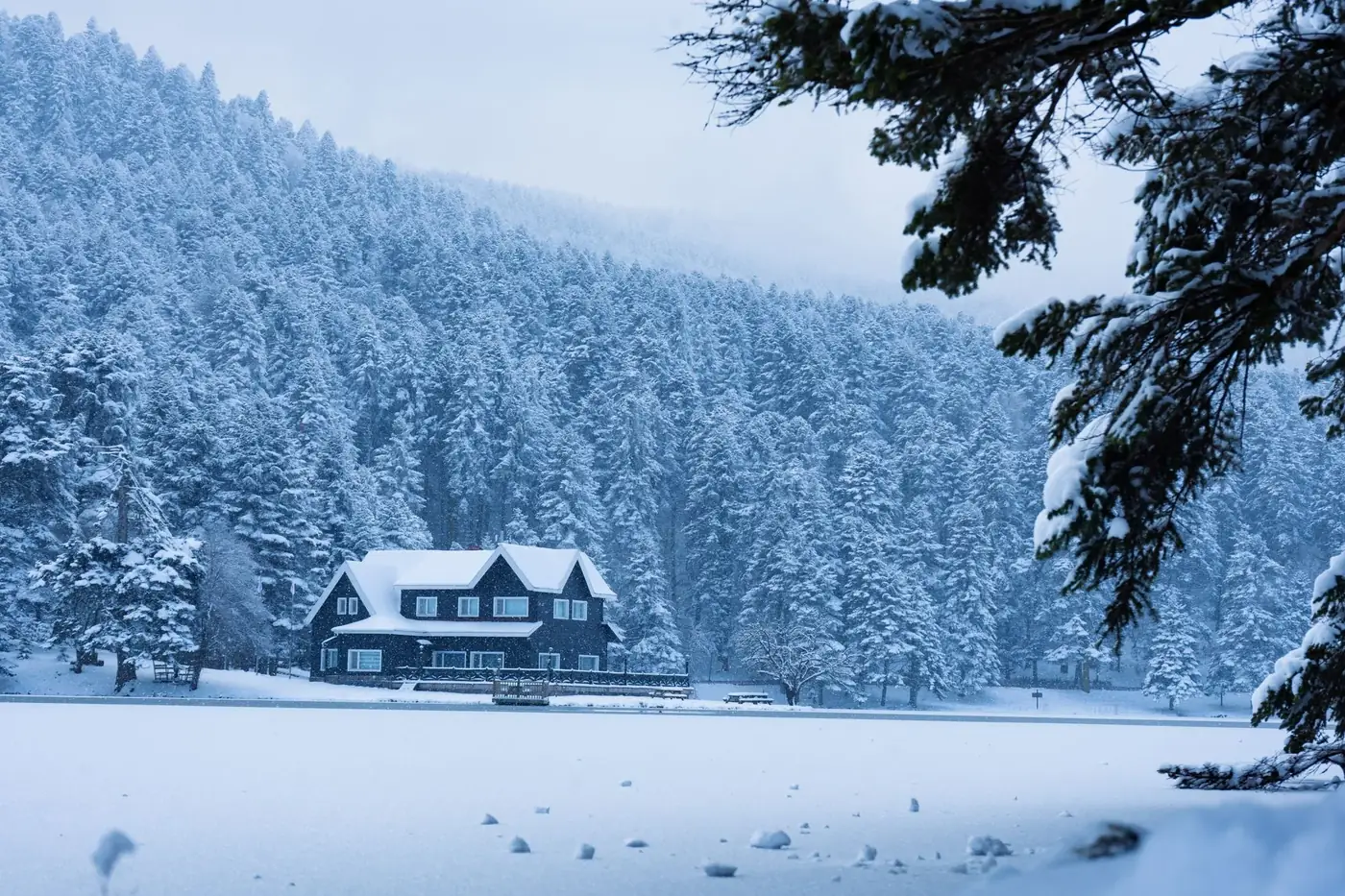 Idyllic winter scene of a snow-covered house surrounded by dense forests in Bolu, Türkiye.