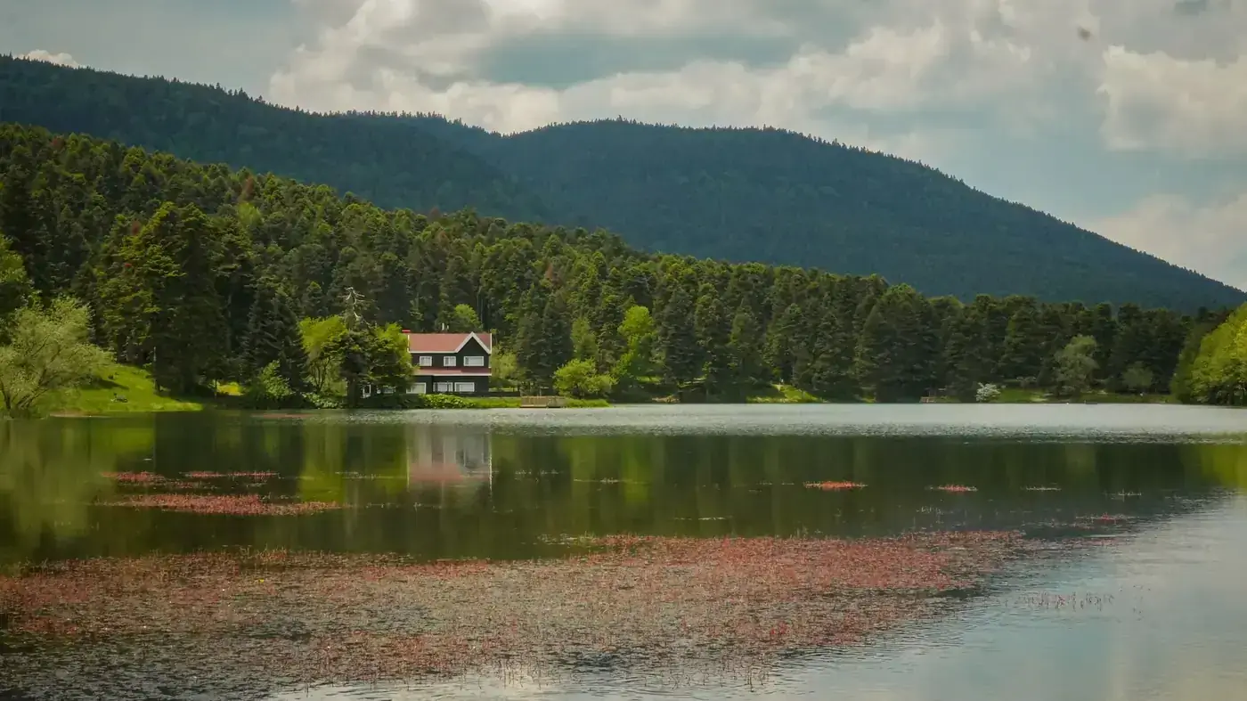 Bolu