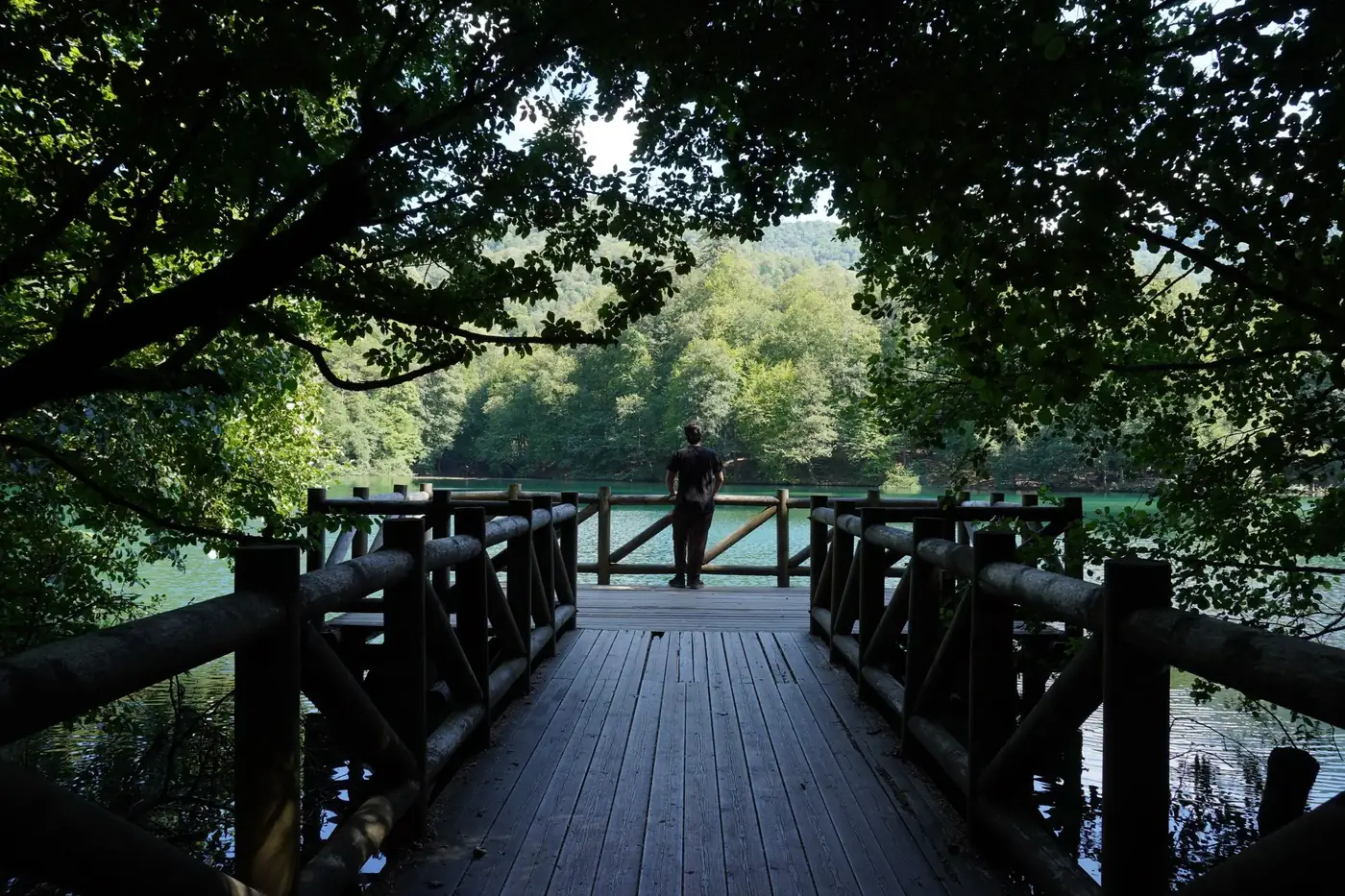 A person stands on a wooden pier, gazing at the tranquil forest-lined lake.