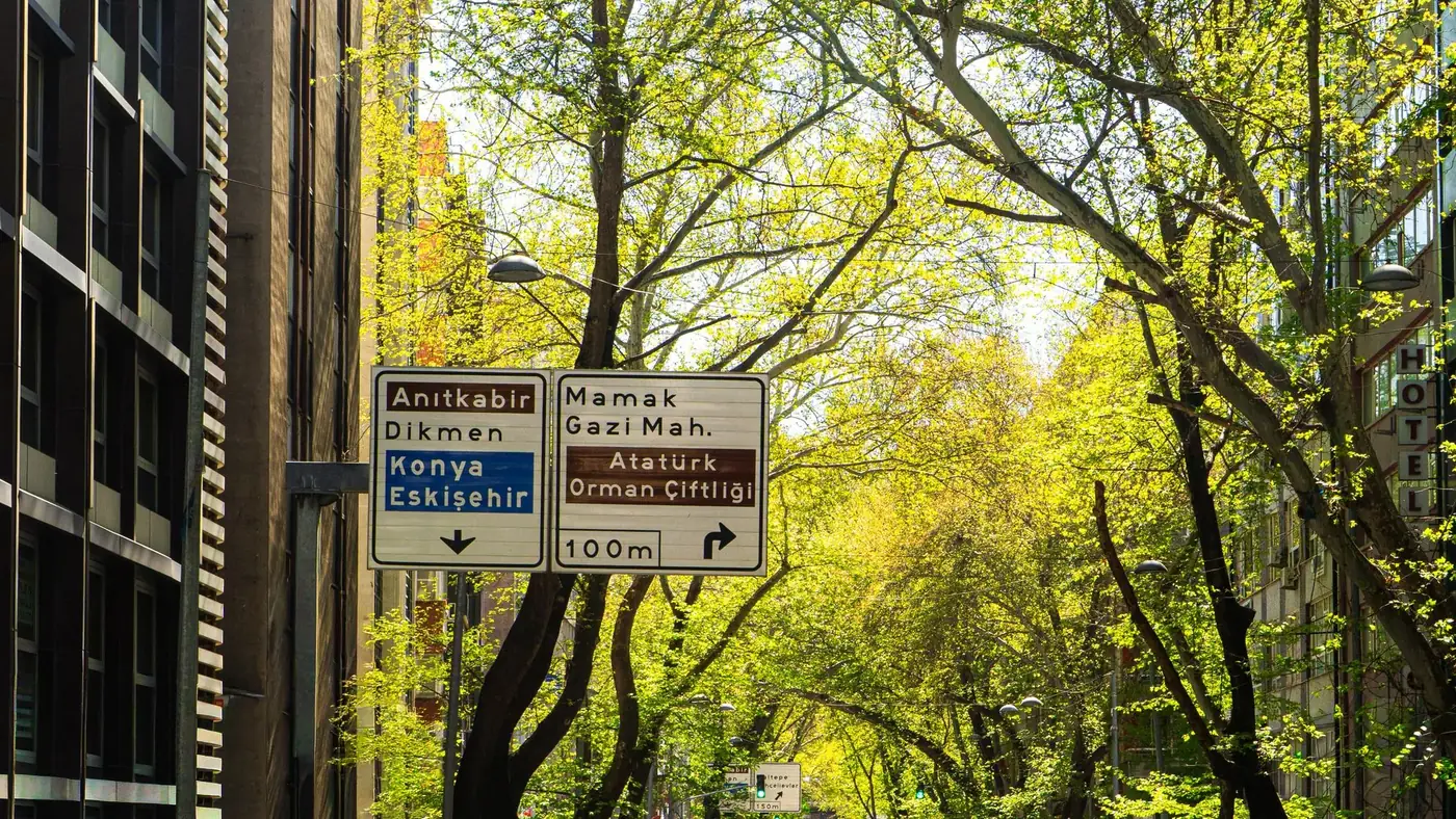 Lively street scene in Ankara with road signs and spring foliage.