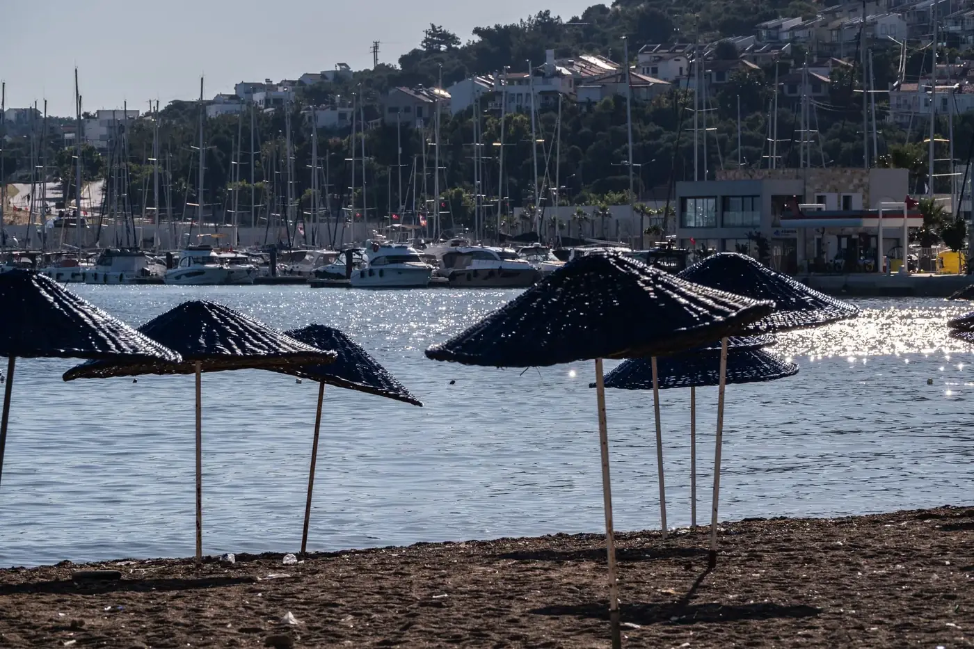 Tranquil beachfront scene with umbrellas and marina view in Foça, İzmir, Türkiye.