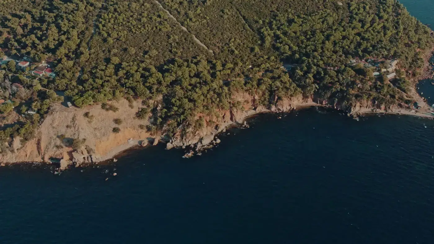 Stunning aerial view of Burgazada's lush greenery and rocky coastline near Istanbul, Türkiye.