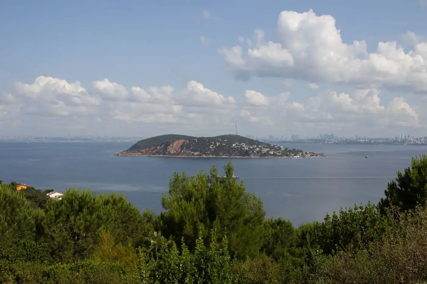 Panoramic view of the Bosphorus, with lush greenery and the Istanbul skyline in the distance.