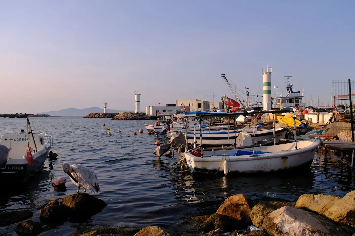 Beautiful harbor scene in Foça, Türkiye, with boats and a pelican at sunset.