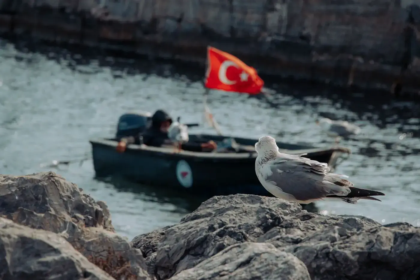 A seagull perched on rocks overlooks a boat with a Turkish flag in Istanbul's Bosphorus.